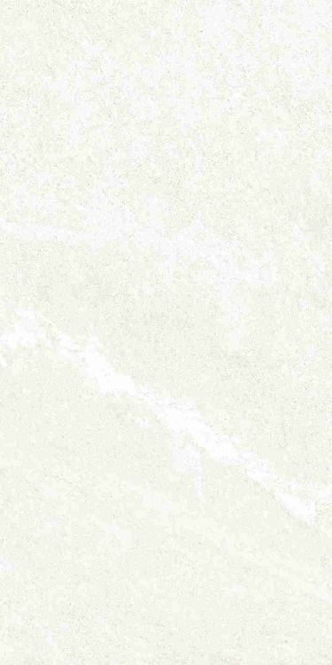 Dhara White Matte 12 x 24